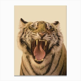 Tiger Roaring Canvas Print