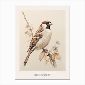 Vintage Bird Drawing House Sparrow 1 Poster Canvas Print