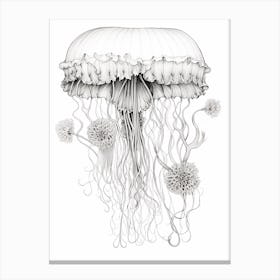 Upside Down Jellyfish Pencil Drawing 7 Canvas Print