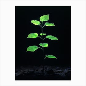 Green Plant In The Dark 7 Canvas Print