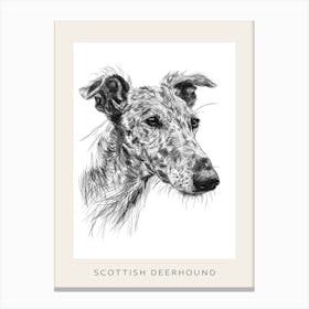 Scottish Deerhound Dog Line Sketch 2 Poster Canvas Print