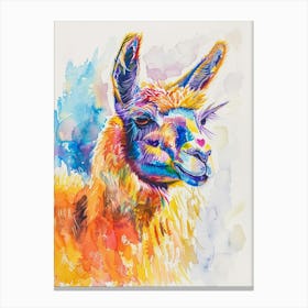 Llama Colourful Watercolour 1 Canvas Print