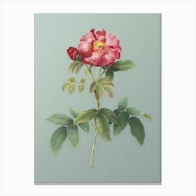 Vintage Provins Rose Botanical Art on Mint Green n.0273 Canvas Print