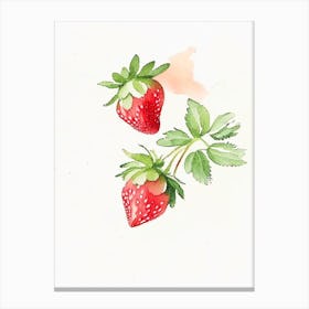 June Bearing Strawberries, Plant, Minimalist Watercolour 1 Canvas Print
