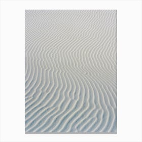 White Sands New Mexico II on Film Canvas Print