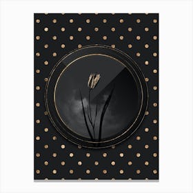 Shadowy Vintage Lady Tulip Botanical in Black and Gold n.0164 Canvas Print