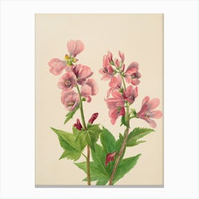 Two Pink Flowers Canvas Print