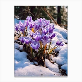 Beautiful Winter Flowers 44 Canvas Print