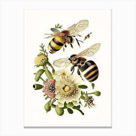 Forager Bees 3 Vintage Canvas Print