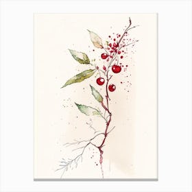 Wild Cherry Bark Herb Minimalist Watercolour 1 Canvas Print