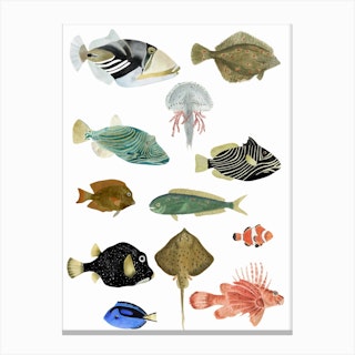 Fishies Canvas Print