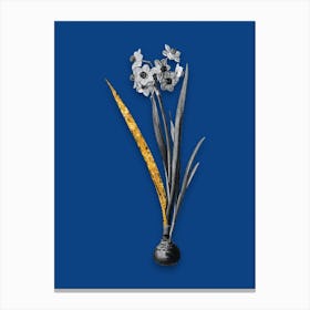 Vintage Daffodil Black and White Gold Leaf Floral Art on Midnight Blue n.0880 Canvas Print