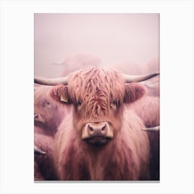 Blush Pink Highland Cows In The Rain 2 Canvas Print