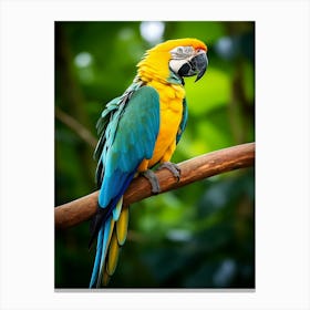 Rainbow Majesty: Macaw Bird Art Canvas Print