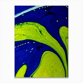 Night Dive Canvas Print