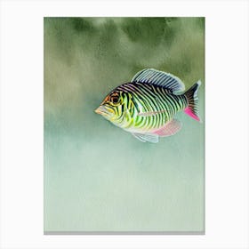 Zebra Turkeyfish Storybook Watercolour Canvas Print