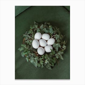 White Eggs In A Nest 1 Canvas Print