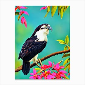 Osprey Tropical bird Canvas Print