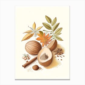 Nutmeg Spices And Herbs Pencil Illustration 1 Canvas Print