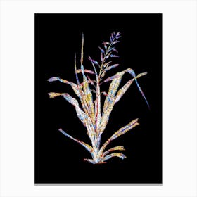 Stained Glass Pitcairnia Bromeliaefolia Mosaic Botanical Illustration on Black n.0124 Canvas Print