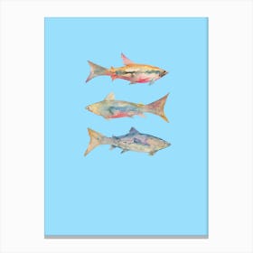 Three Fish Watercolour Canvas Print