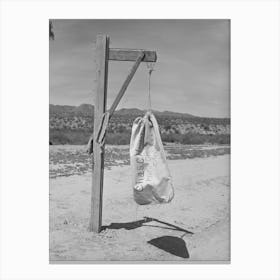 Mail Bag At Farmhouse, Pinto Creek, Arizona By Russell Lee Canvas Print