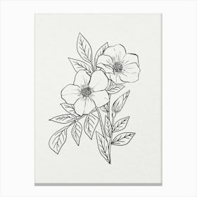 Drawing Of Flowers Canvas Print