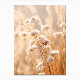 Boho Dried Flowers Daisy 3 Canvas Print