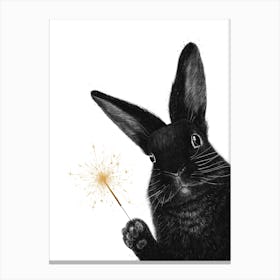 Rabbit With Sparkler Canvas Print