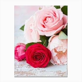 A Closeup Of A Rose The Archetype Of Romance And Beauty Rendered In Vibrant Hues Such As Tender Pi Canvas Print