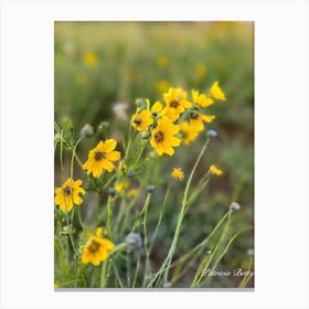 Yellow Wildflowers - Photography Canvas Print