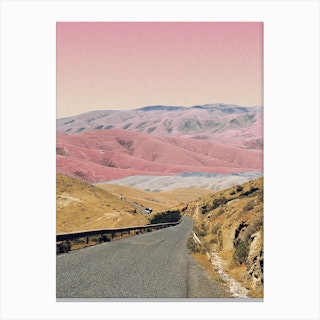 Road In The Pink Desert Canvas Print