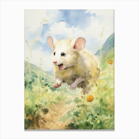 Light Watercolor Painting Of A Possum Running In Field 3 Canvas Print