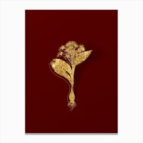 Vintage Pygmy Hyacinth Botanical in Gold on Red n.0600 Canvas Print