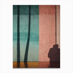 Shadow Of A Man Canvas Print