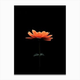 Gerbera Daisy 21 Canvas Print