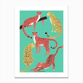 Cheetah in the Wild Canvas Print