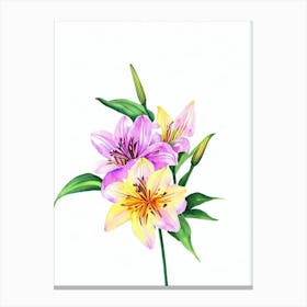 Lilies Watercolour Flower Canvas Print