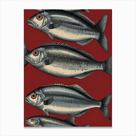 Sardines Canvas Print