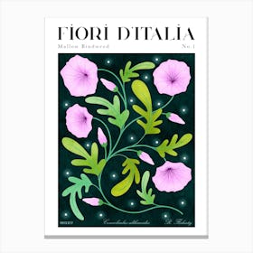 Italian Florals: Mallow Bindweed Canvas Print