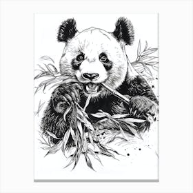 Giant Panda Eating Bamboo Ink Illustration 1 Canvas Print