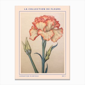 Carnation Dianthus French Flower Botanical Poster Canvas Print