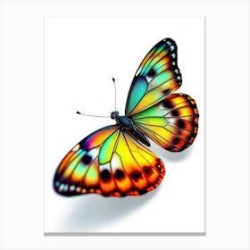 Butterfly Isolated On White Canvas Print