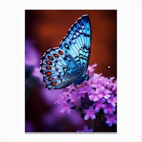 Blue Butterfly On Purple Flowers Canvas Print