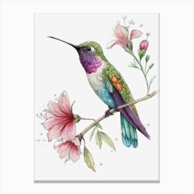 Hummingbird Watercolor Art Design Canvas Print