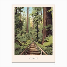 Muir Woods 2 Canvas Print