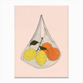 Oranges and lemons In A Basket Canvas Print