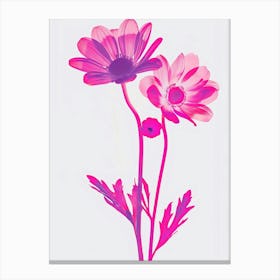 Hot Pink Daisy 2 Canvas Print