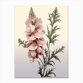 Floral Illustration Aconitum 2 Canvas Print