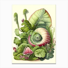 Garden Snail In Garden 1 Botanical Canvas Print